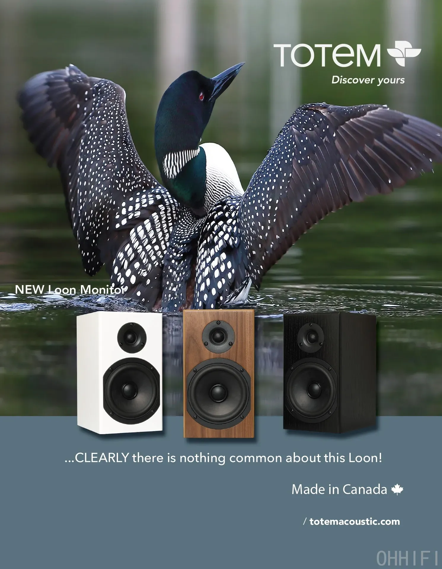LOON Monitor