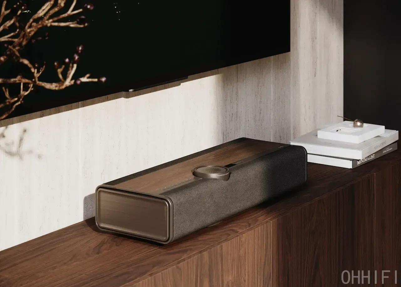 DALI VEGA Wireless